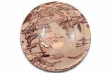 Polished Saharan Desert Jasper Dish - Morocco #326935-1